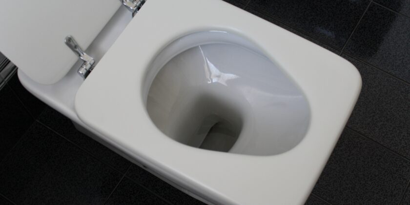 Calcare sulle pareti del WC