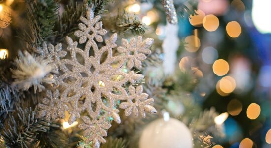 Ecco perché l'albero di Natale