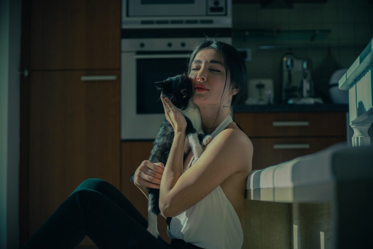 Il gatto e il suo affetto