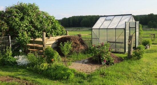 Non fare assolutamente questo errore nel tuo giardino