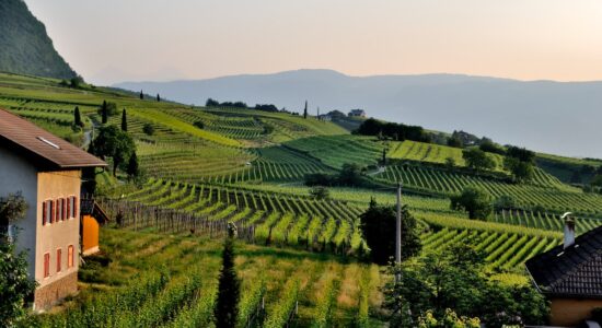 Acquistare casali nel verde