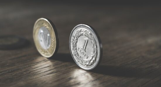 Brescia e Bergamo sulle nuove monete