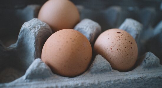 Dove conservare le uova