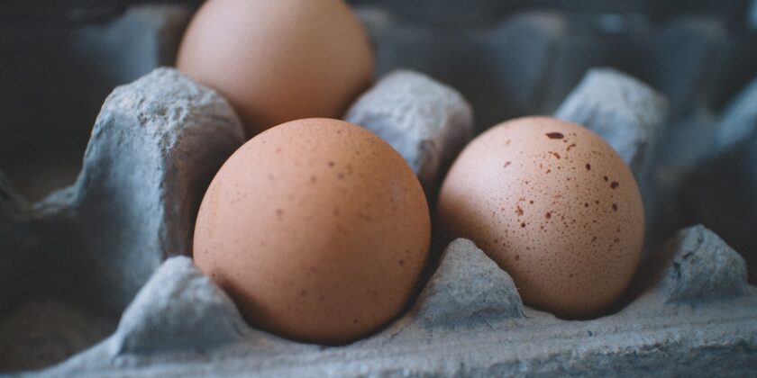 Dove conservare le uova