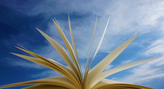 Ecco 3 libri spettacolari perfetti da leggere