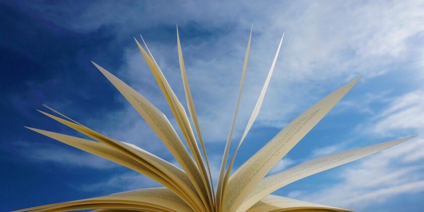 Ecco 3 libri spettacolari perfetti da leggere