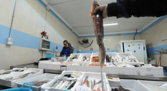 Ecco 3 pesci da comprare oggi al supermercato