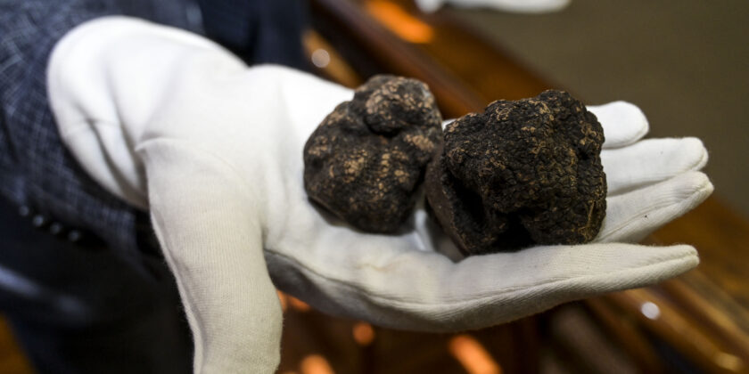 Febbraio è perfetto per scoprire Umbria e Marche-tartufo