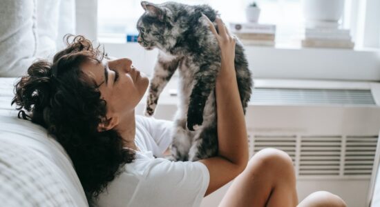 Giocare con il gatto