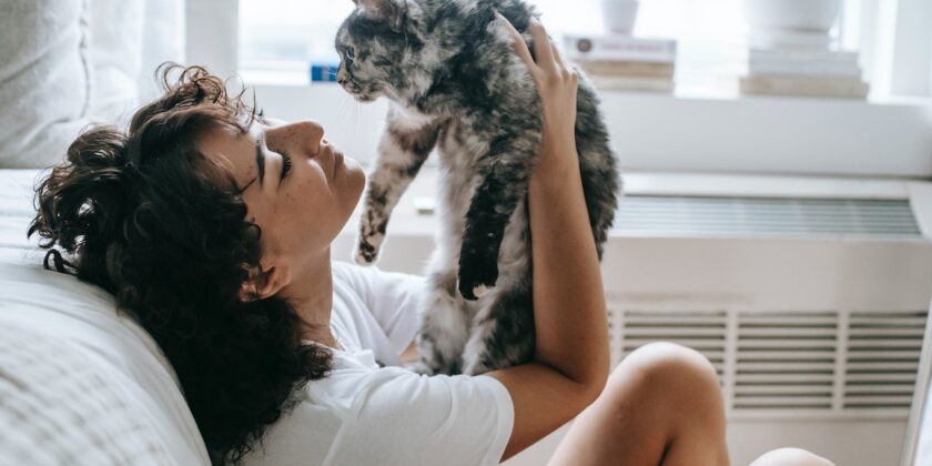Giocare con il gatto