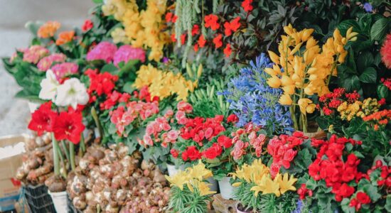 I fiori del mese della tua nascita