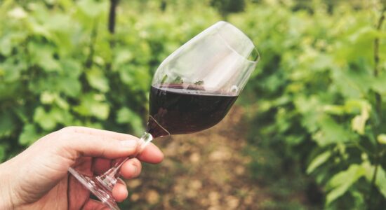 I migliori vini rossi italiani dell’anno