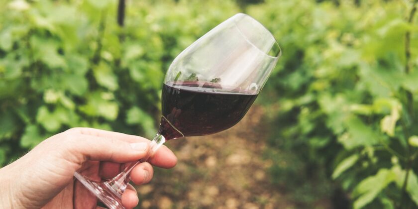 I migliori vini rossi italiani dell’anno