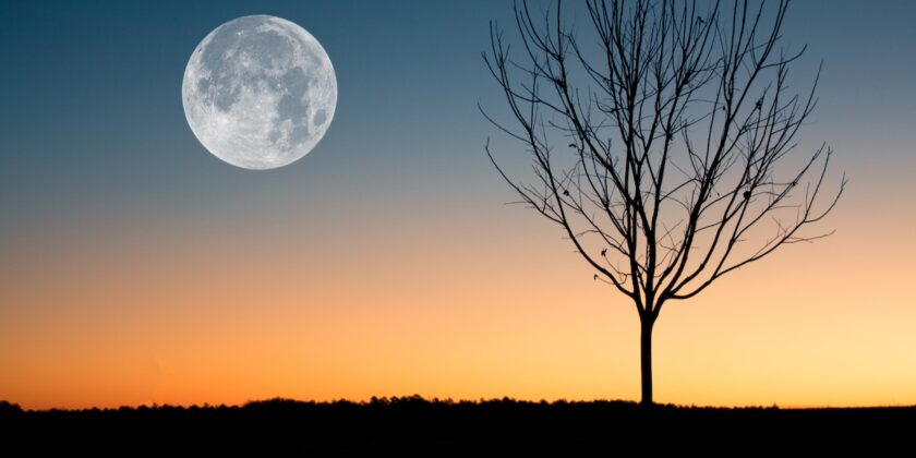 I segni più fortunati della Luna piena