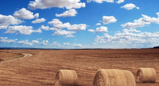 Investimenti e lavoro in agricoltura