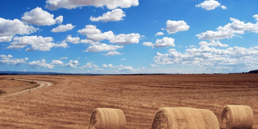 Investimenti e lavoro in agricoltura