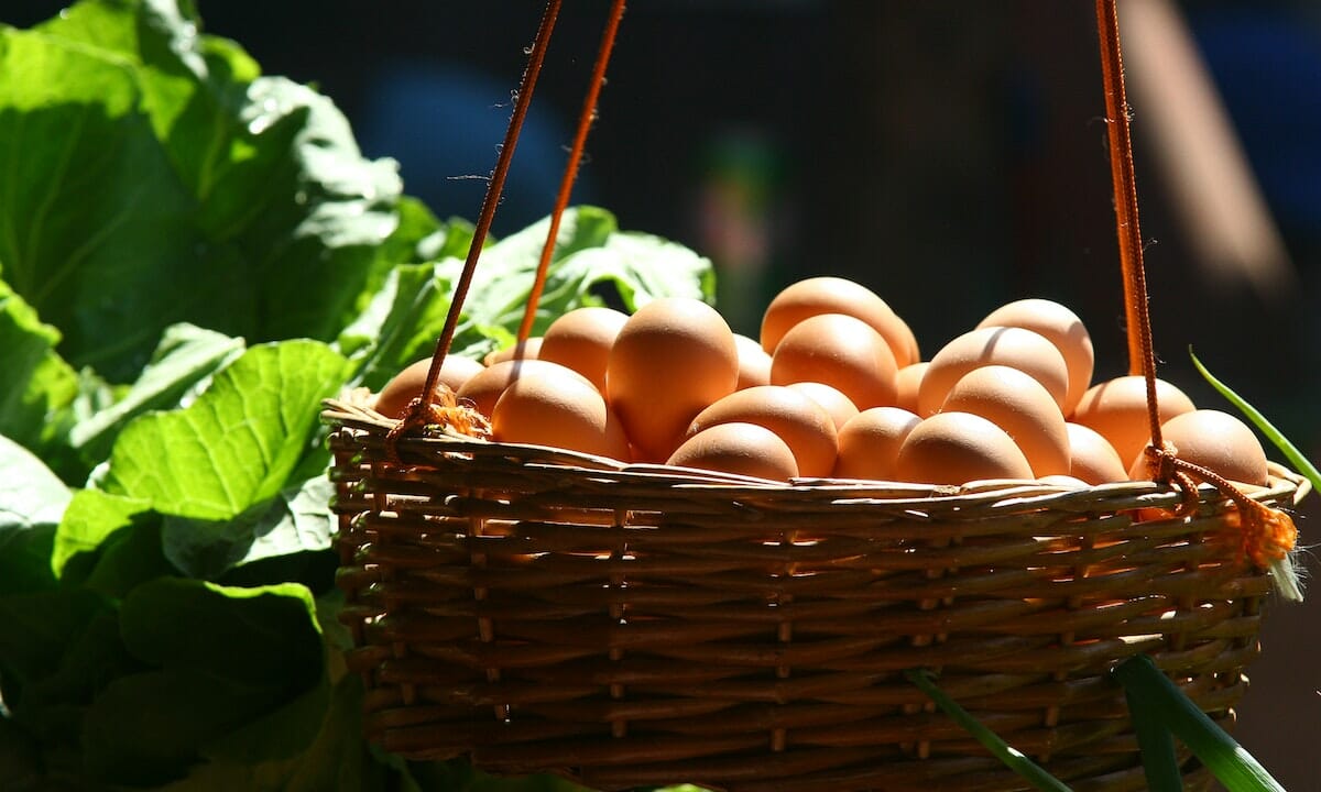 Le uova devono essere a temperatura ambiente