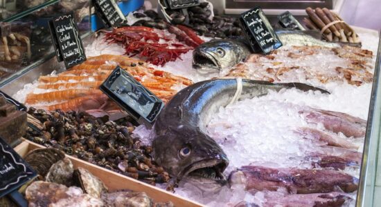Meglio il pesce fresco o surgelato