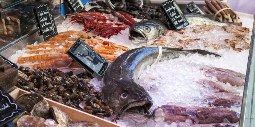 Meglio il pesce fresco o surgelato
