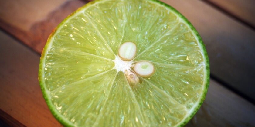 Non buttare via i semi del limone