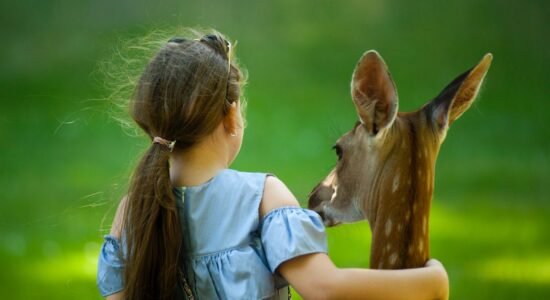 Non cani ma questi 2 animali sono ideali per i bambini