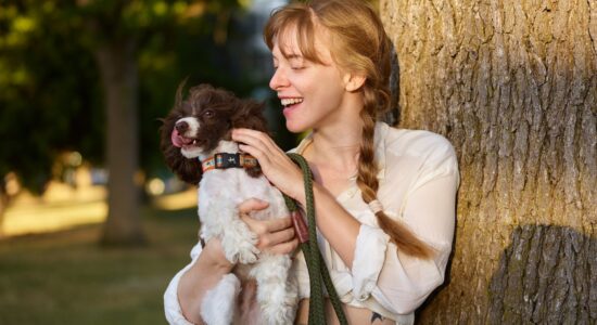 Non prendere il cane in braccio