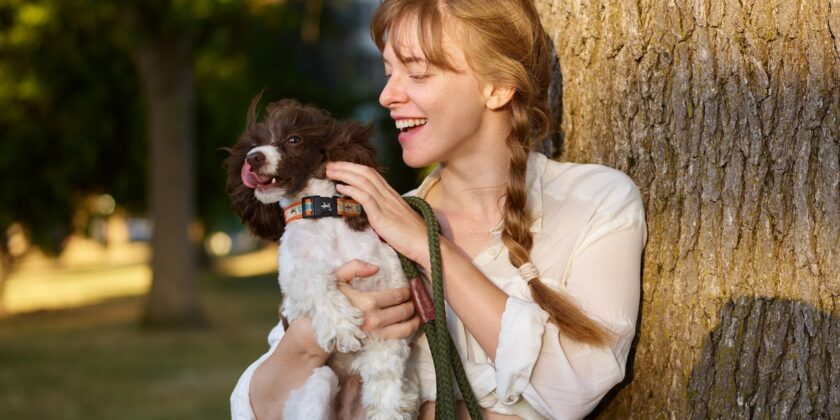 Non prendere il cane in braccio
