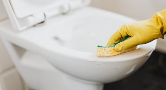 Per WC pulito e profumato non dovrai spendere 1 euro