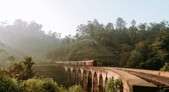Per viaggi low cost ecco tutte le offerte