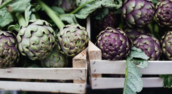 Puoi conservare carciofi crudi e cotti tutto l'anno