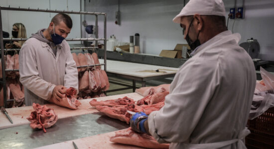 Questa carne dei poveri è ricca di ferro e proteine