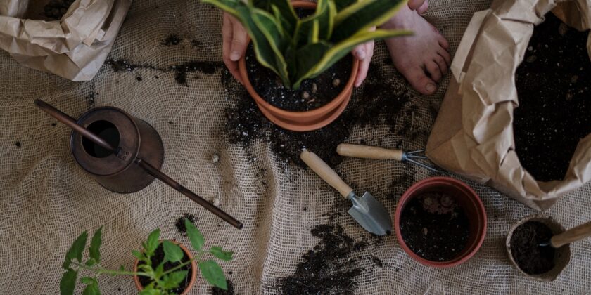 Questo fertilizzante naturale per piante e fiori