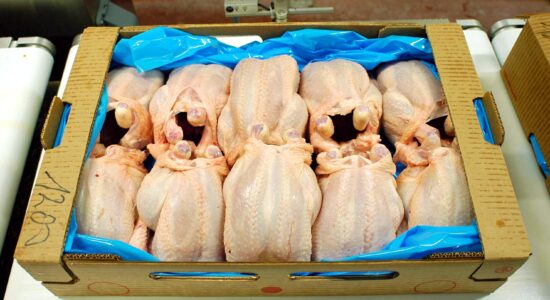 Ricetta per cucinare il pollo in modo originale