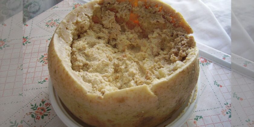 Ultime notizie sul Casu Marzu formaggio