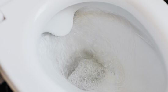 acqua del wc