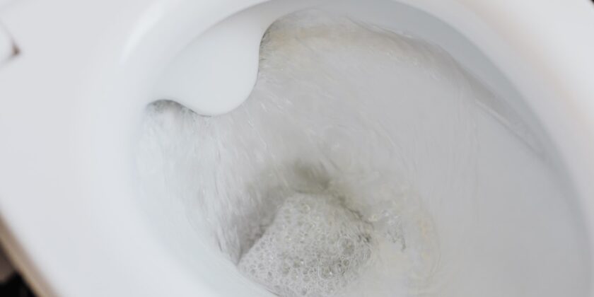 acqua del wc