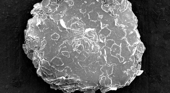 Foto microscopica della forfora