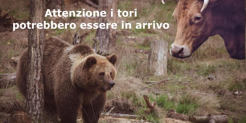 Rialzo in arrivo per Illimity Bank e NEXI?