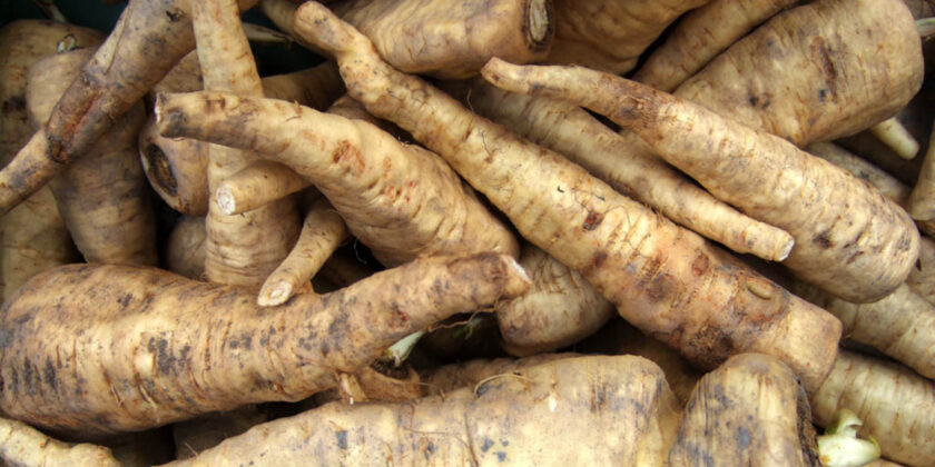 La pastinaca è un ottimo ortaggio per velocizzare la digestione