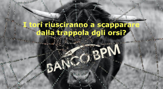 I tori riusciranno a sfuggire alla trappola tesa dagli orsi?