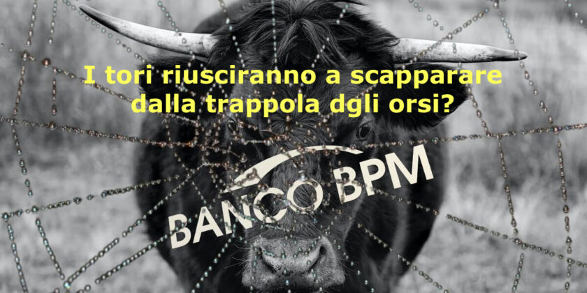 I tori riusciranno a sfuggire alla trappola tesa dagli orsi?