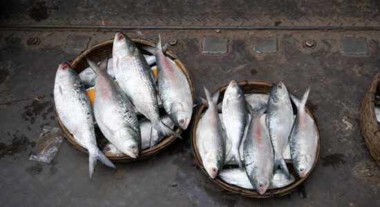 Gli errori da non fre quando si cucina il pesce