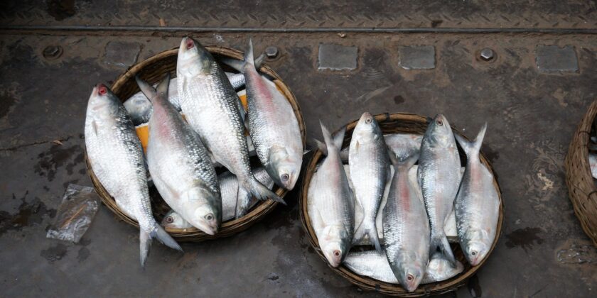 Gli errori da non fre quando si cucina il pesce