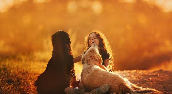 Cani e padroni, ecco le razze più affettuose
