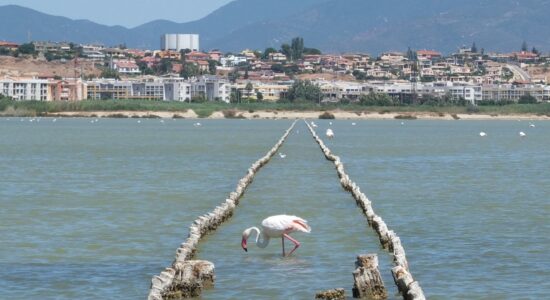 Come comprare con 50.000 euro la casa al mare-Quartu Sant'Elena