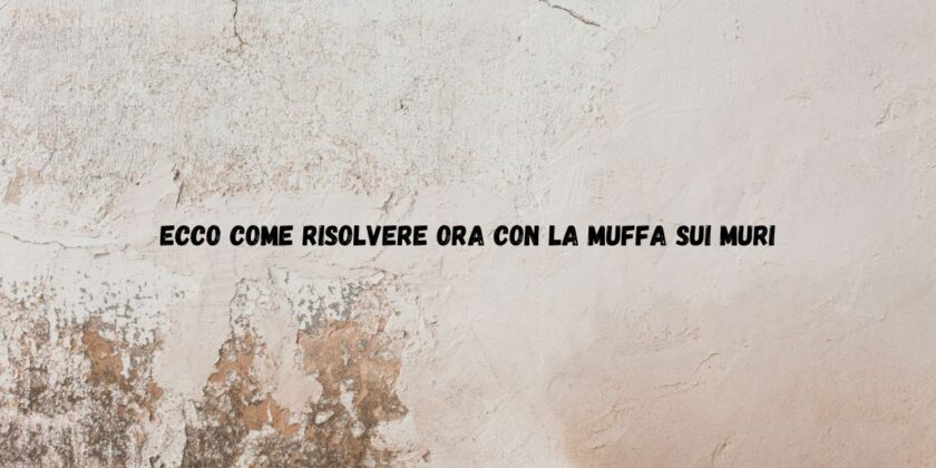 Come risolvere il problema della muffa sui muri