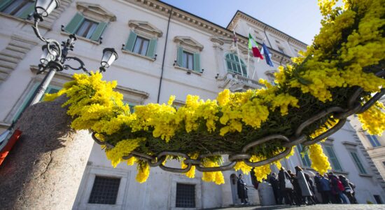 Conservare la mimosa recisa bella e fresca per molti giorni