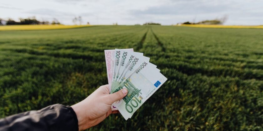 Dove mettere al sicuro i propri soldi