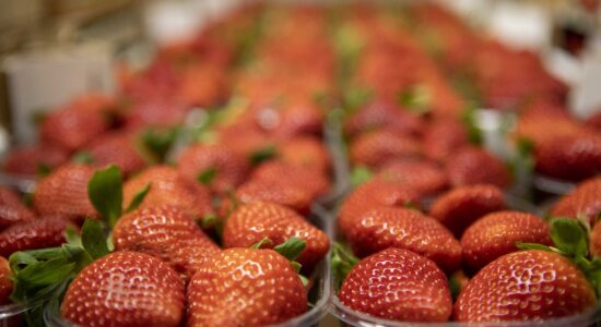 Fragole più costose in vendita