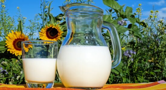 Il latte vaccino può essere utilizzato al posto dei cosmetici